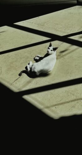 9° lugar | Concurso: Luces y sombras iPhone 13 · 5mm · f/1.6 · 1/2463s · ISO 50