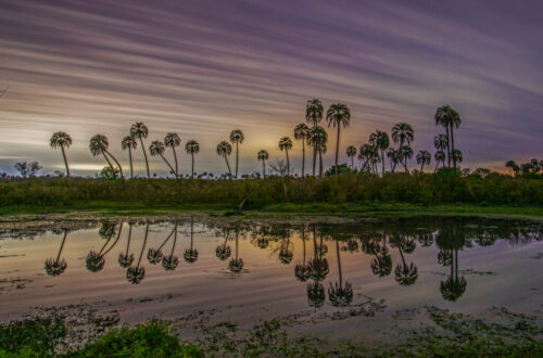 2° lugar | Concurso: Reflejos Canon EOS 5D Mark IV · 17mm · f/4 · 240s · ISO 100