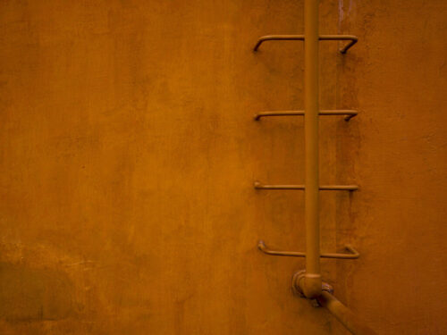 1° lugar | Color: Naranja ILCE-7M4 · 52mm · f/8 · 1/100s · ISO 100