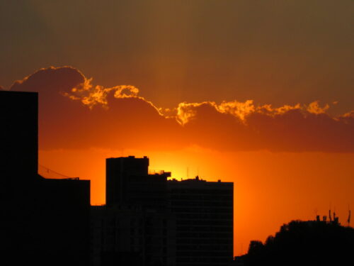 4° lugar | Color: Naranja Canon PowerShot SX500 IS · 40mm · f/5.6 · 1/1000s · ISO 100