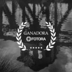 Concurso: Reflejos