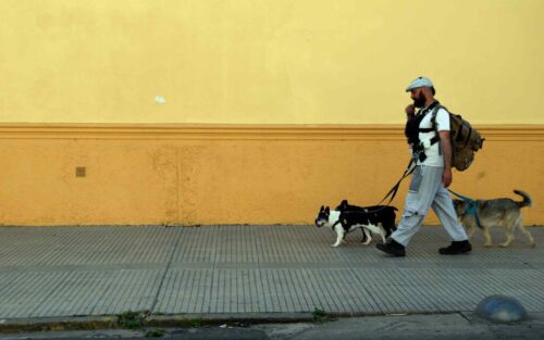 5° lugar | Concurso: Regla de los Tercios
